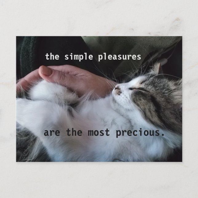 Cute Kitten Quote Simple Pleasures Mest Precious Vykort (Framsida)