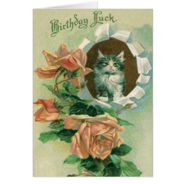 Cute Kitten Ro Rosor Hälsningskort (Framsidan)