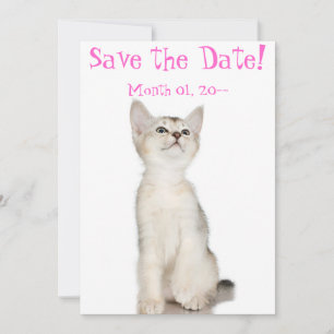 Cute Kitten Spara datum meddelande