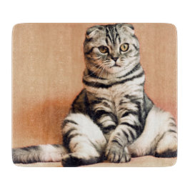 Cute Kitten sprawled ut