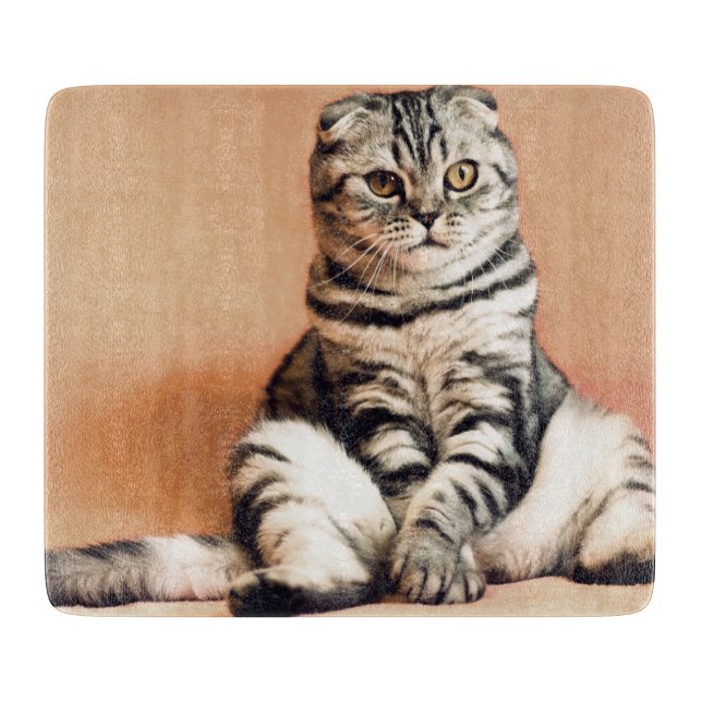 Cute Kitten sprawled ut (Framsidan)