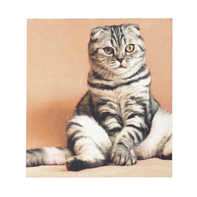 Cute Kitten sprawled ut Anteckningsblock (Framsida)