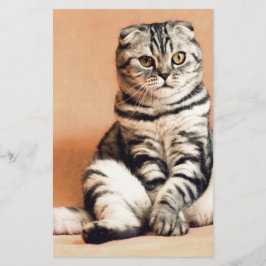 Cute Kitten sprawled ut Brevpapper