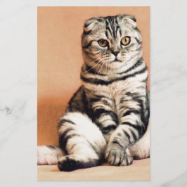 Cute Kitten sprawled ut Brevpapper