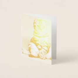 Cute Kitten sprawled ut Folierat Kort