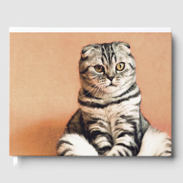 Cute Kitten sprawled ut Gästböcker