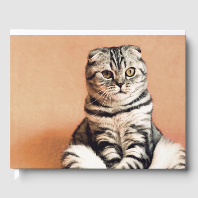 Cute Kitten sprawled ut Gästböcker (Framsida)