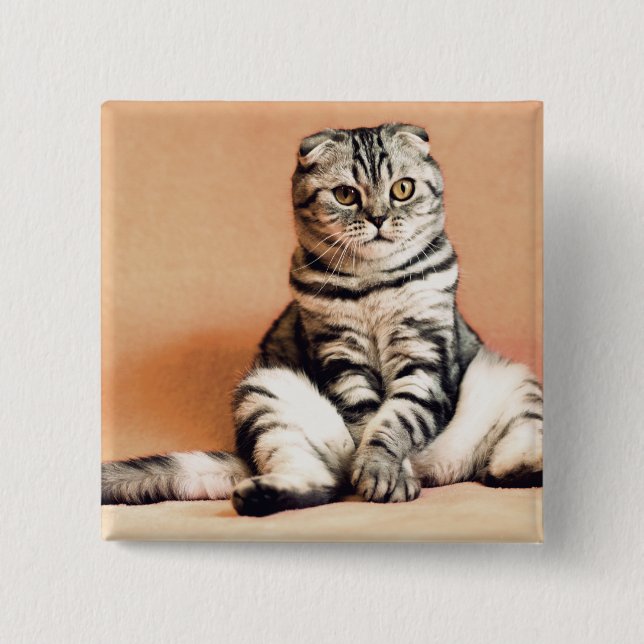 Cute Kitten sprawled ut Knapp (Framsida)