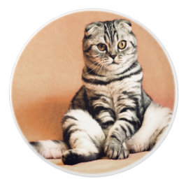 Cute Kitten sprawled ut Knopp