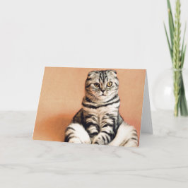 Cute Kitten sprawled ut Kort