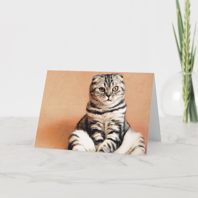 Cute Kitten sprawled ut Kort (Framsida)