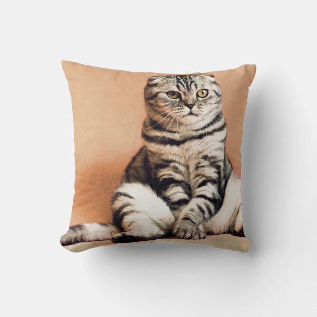 Cute Kitten sprawled ut Kudde (Framsida)
