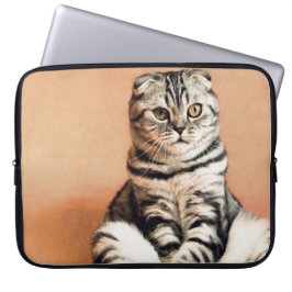 Cute Kitten sprawled ut Laptop Fodral