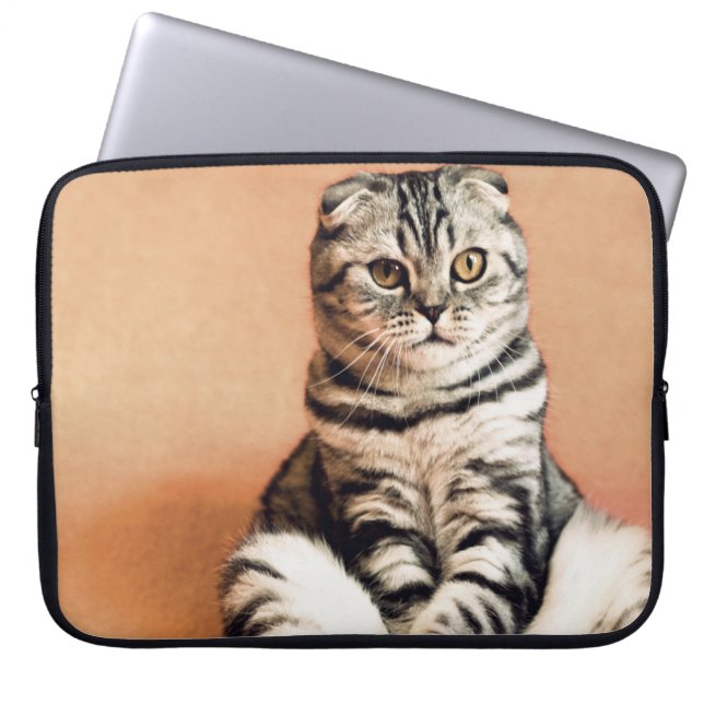 Cute Kitten sprawled ut Laptop Fodral (Framsidan)