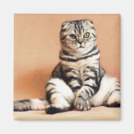 Cute Kitten sprawled ut Magnet