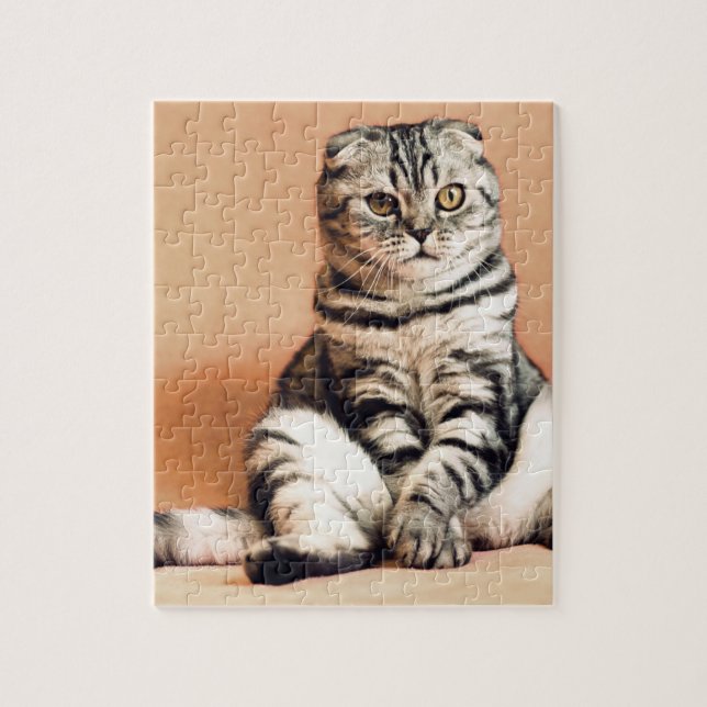 Cute Kitten sprawled ut Pussel (Vertikal)