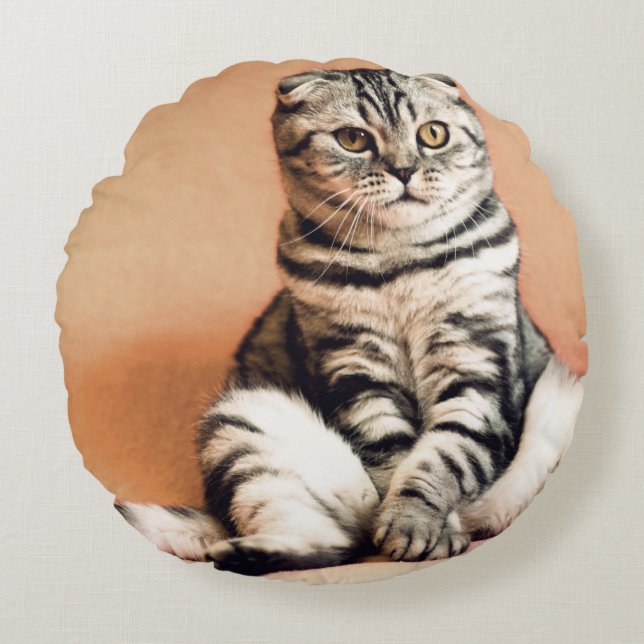 Cute Kitten sprawled ut Rund Kudde (Framsidan)