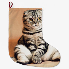 Cute Kitten sprawled ut Stor Julstrumpa