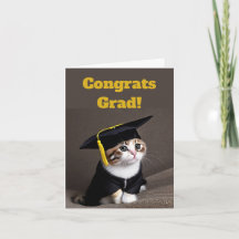 Cute Kitten Studenten