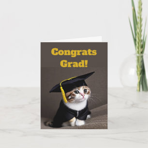 Cute Kitten Studenten Kort