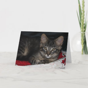 Cute Kitten Tack, ditt kort