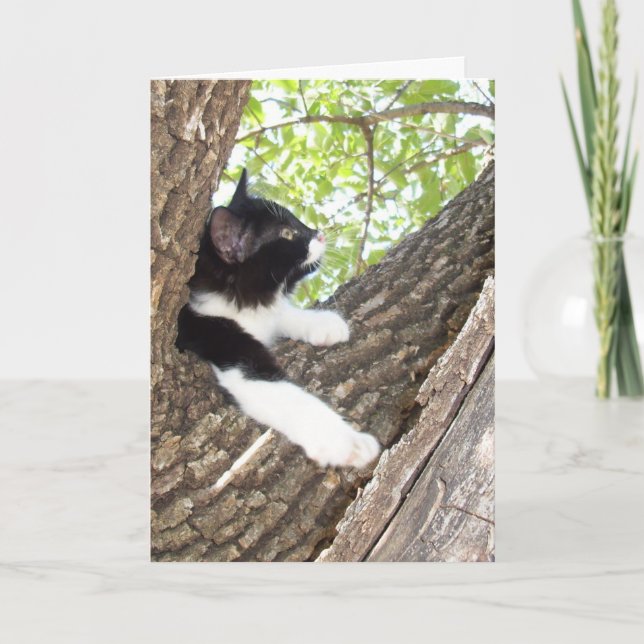 Cute Kitten tänker på dig Kort (Framsida)