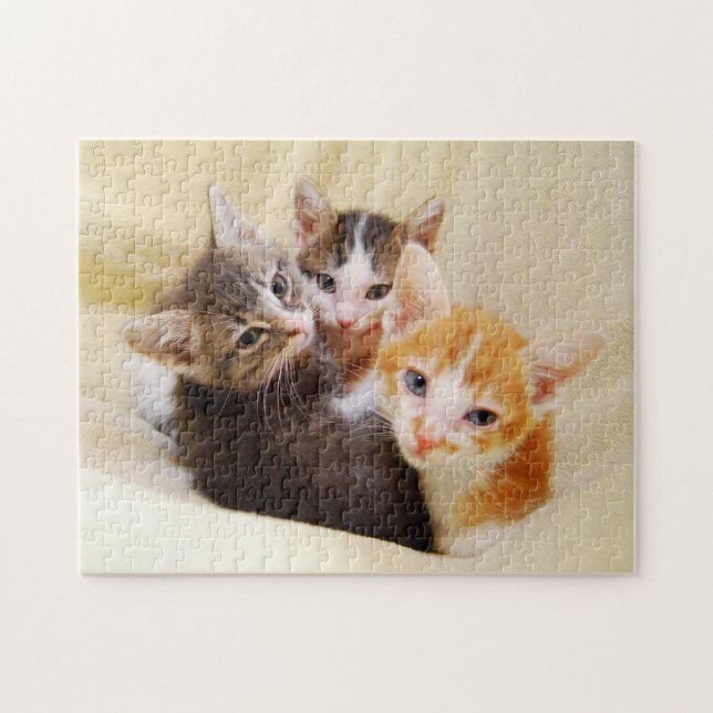 Cute Kitten Trio Pussel (Horisontell)