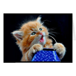 Cute Kitten-tuggar. Hälsningskort