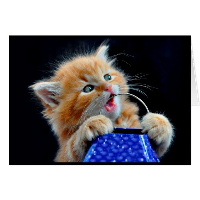 Cute Kitten-tuggar. Hälsningskort (Framsidan Horizontal)