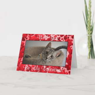 Cute Kitten Valentine Day Card (Rädda djuren) Helgkort