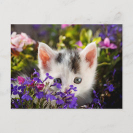 Cute Kitten Vår Vykort