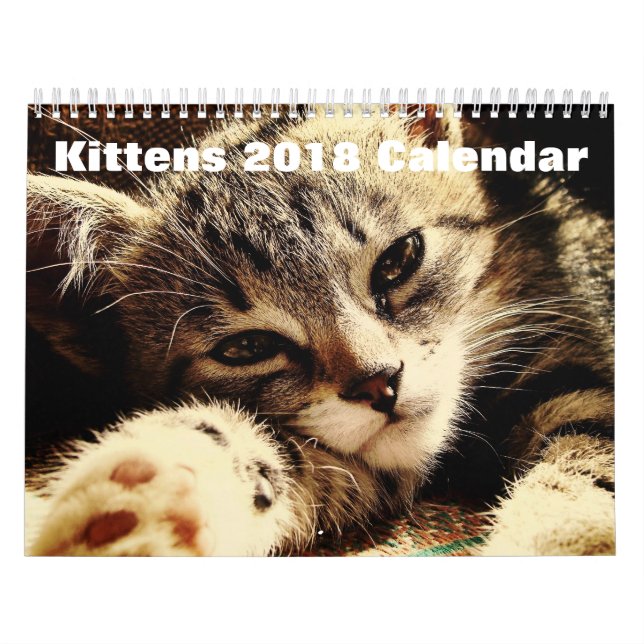 Cute Kittens 2018 Kalender (Omslag)