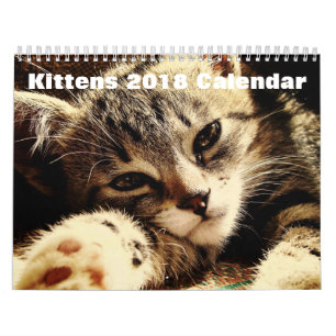 Cute Kittens 2018 Kalender