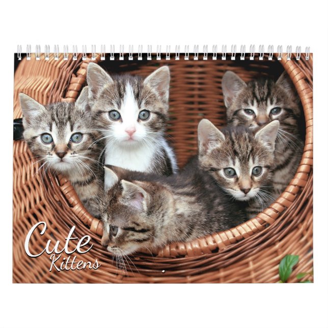 Cute Kittens 2024 Cat Pet Photo Calendar Kalender (Omslag)