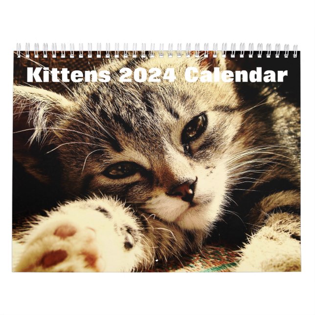 Cute Kittens 2024 Kalender (Omslag)