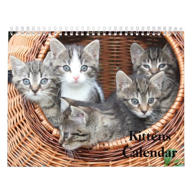Cute Kittens 2025 Bengal Tiger Kalender (Omslag)