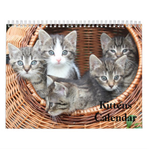 Cute Kittens 2025 Bengal Tiger Kalender