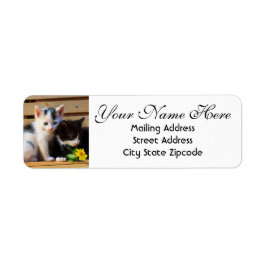Cute Kittens and Flowers Returadress Returadress Etikett