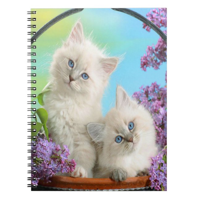 Cute Kittens Anteckningsbok Med Spiral (Framsidan)