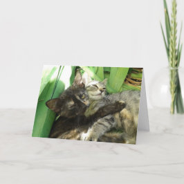 Cute Kittens cuddingerande Valentineser Meddelande