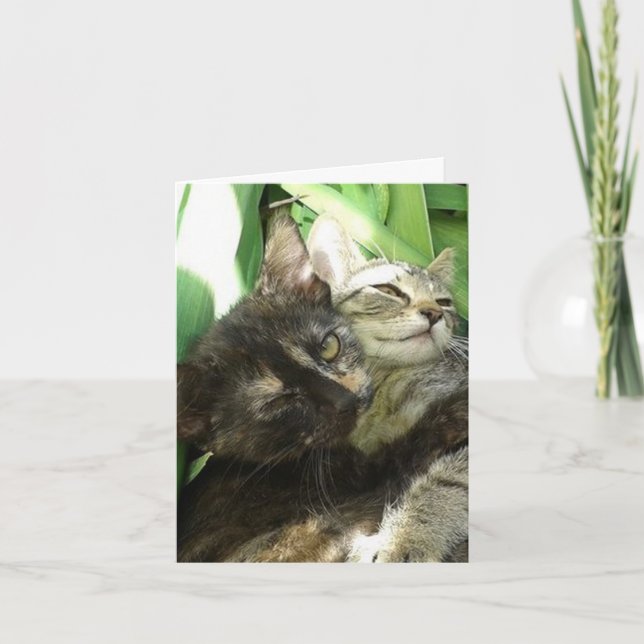 Cute Kittens Cuddling Birthday-kort Kort (Framsida)