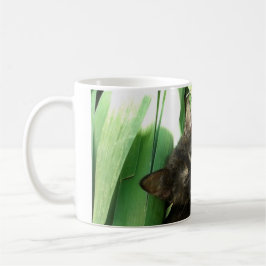 Cute kittens cuddling kaffemugg