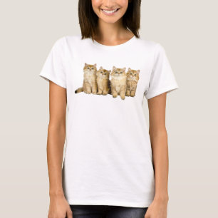 Cute Kittens familj T Shirt