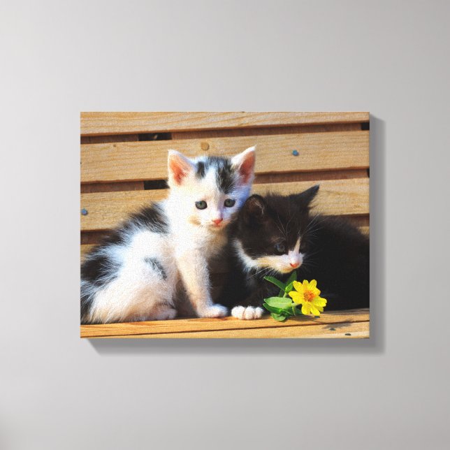 Cute Kittens Flowers Cat Photo Canvastryck (Framsida)