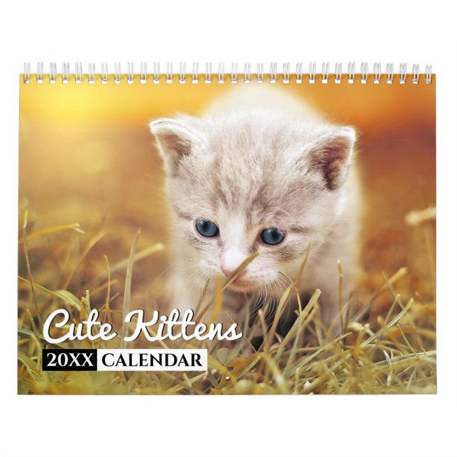 Cute Kittens fotoväggkalender Kalender (Omslag)