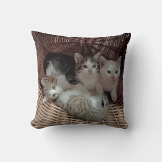 Cute Kittens in Basket Throw Pillow Kudde