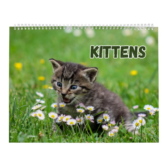 Cute Kittens Kalender (Omslag)