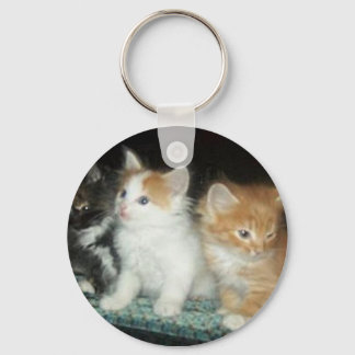 Cute Kittens nyckelkedja Nyckelring