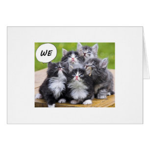CUTE KITTENS ÖNSKAR NÅN I GRATTIS PÅ FÖDELSEDAGEN HÄLSNINGSKORT