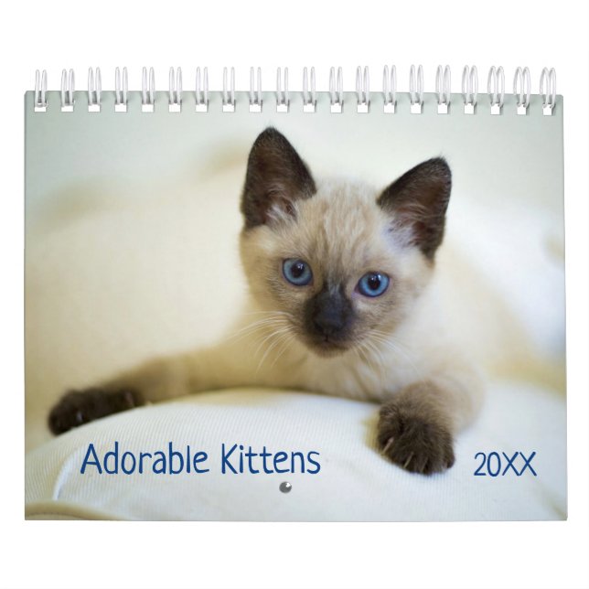 Cute Kittens Pet Photo Calendar Kalender (Omslag)